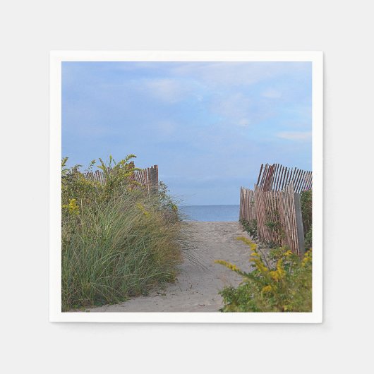 ビーチナプキン スタンダードカクテルナプキン (正面)