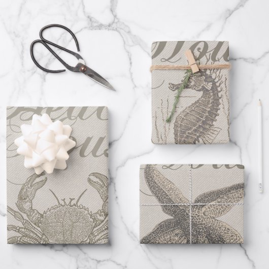 ビーチハウスカニシーショアコーストヴィンテージ ラッピングペーパーシート (正面)