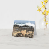 ビーチハートノテ空白のカード(内部) カード (黄色い花)