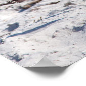 ビーチバムヘロン ポスター (角)