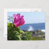ビーチバラ ポストカード (正面/裏面)