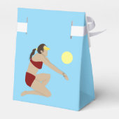 ビーチバレーボール フェイバーボックス (裏面サイド)