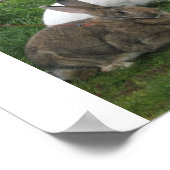 ビーチバンニーズポスター ポスター (角)