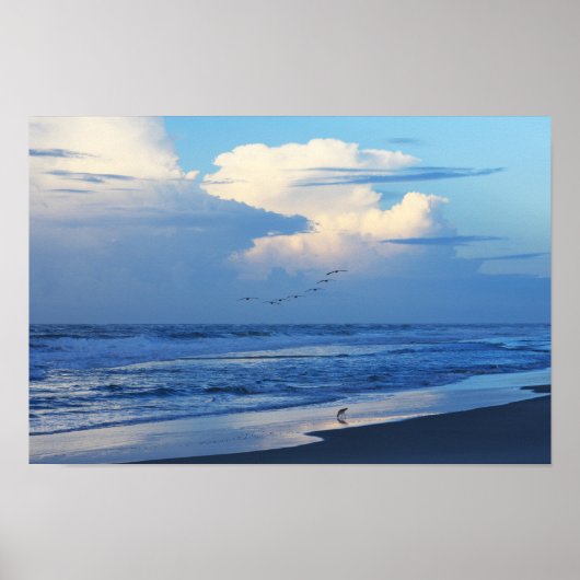 ビーチバードアットドーン1 ポスター (正面)