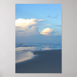 ビーチバードアットドーン2 ポスター