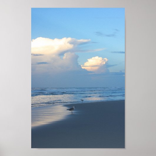 ビーチバードアットドーン2 ポスター (正面)