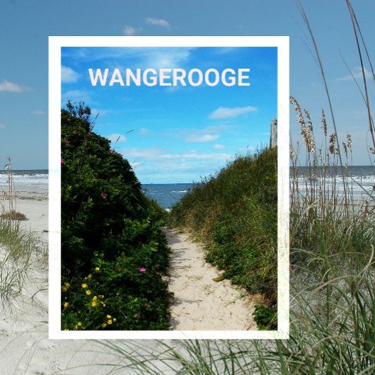 ビーチパス、砂丘、Wangerooge、東フリジア ポストカード