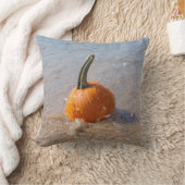 ビーチパンプキン クッション (ブランケット)