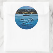 ビーチパークブレークウォール4 ラウンドシール (バッグ)