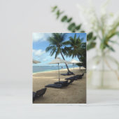 ビーチパームシート ポストカード (スタンド正面)