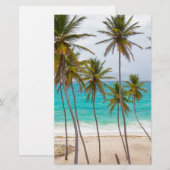 ビーチパームズ 便箋 (正面/裏面)
