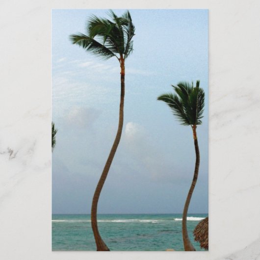ビーチパーム 便箋 (正面)