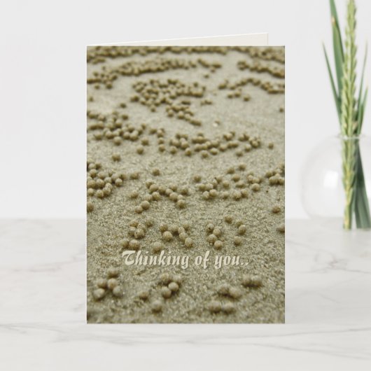 ビーチビジョンメモリーカード カード (正面)