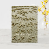 ビーチビジョンメモリーカード カード (黄色い花)