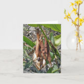 ビーチピーシードポッドノートカード カード (黄色い花)