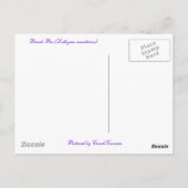 ビーチピー（ラティルス・マリティムス）コーディネート項目 ポストカード (裏面)