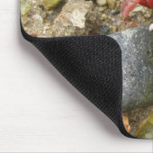 ビーチフィドラーカニ マウスパッド (コーナー)