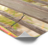 ビーチフェンスのポスター ポスター (角)