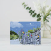 ビーチフェンス&ダネスクリスマスライト シーズンポストカード (スタンド正面)