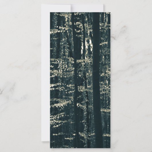 ビーチフォレスト自然フォトカード (正面)