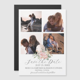 ビーチフローラサンドドルとヒトデの写真数々の