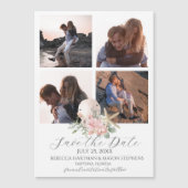 ビーチフローラサンドドルとヒトデの写真数々の (正面)