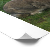 ビーチブンニーズカスタマイズポスター –  ポスター (角)