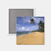 ビーチプエルトリコ2 マグネット (正面/裏面)