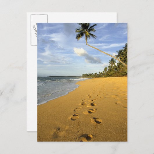 ビーチプエルトリコ ポストカード (正面/裏面)
