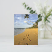 ビーチプエルトリコ ポストカード (スタンド正面)