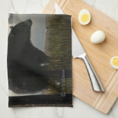 ビーチベア キッチンタオル (四つ折り)