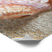 ビーチホワイトサンドシーシェル ポスター (角)