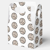 ビーチボレーボール フェイバーボックス (オープン)