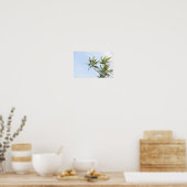 ビーチポスター ポスター (キッチン)