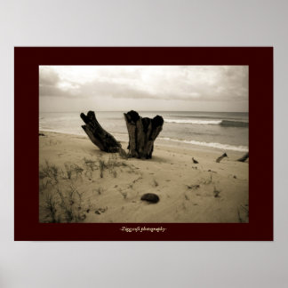 ビーチポスター ポスター