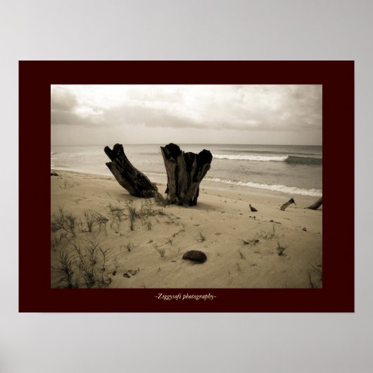 ビーチポスター ポスター (正面)