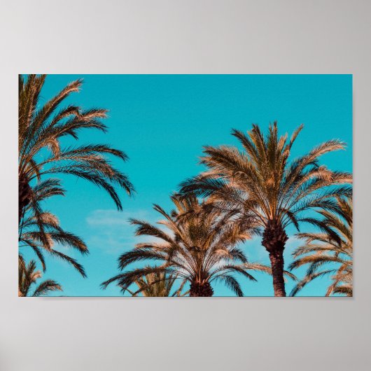 ビーチポスター ポスター (正面)