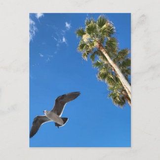 ビーチポストカード ポストカード