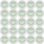 ビーチミニマルキャンドルココナッツライムラベルシート25 シール (正面)