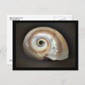 ビーチメモリはがき ポストカード (正面/裏面)