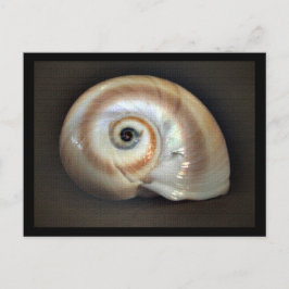 ビーチメモリはがき ポストカード