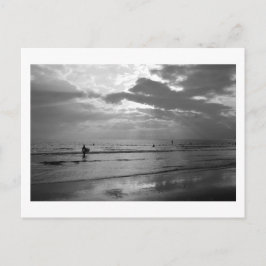 ビーチライフ:日本はがき ポストカード