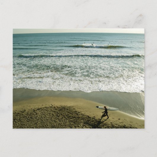 ビーチライフ – 相模湾 ポストカード (正面)