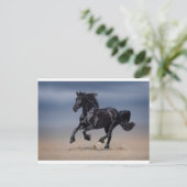 ビーチランニングの ポストカード (スタンド正面)