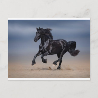 ビーチランニングの ポストカード