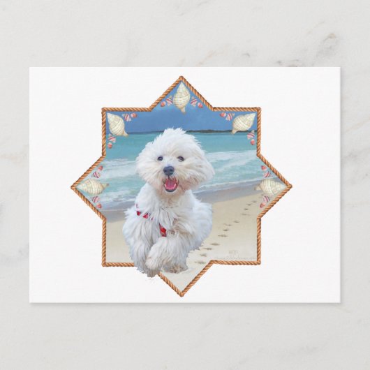 ビーチラン ポストカード (正面)