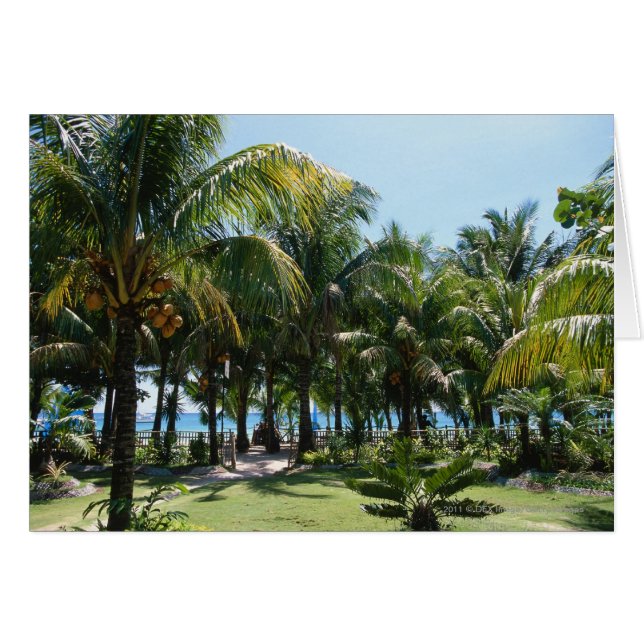 ビーチリゾート (正面横)