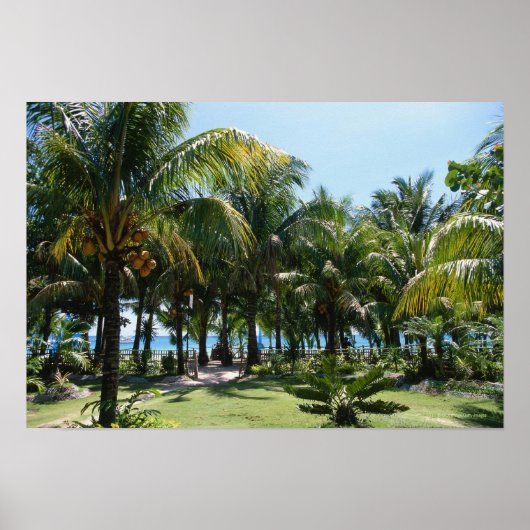 ビーチリゾート ポスター (正面)