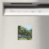 ビーチリゾート マグネット (インサイチュ (食洗機))