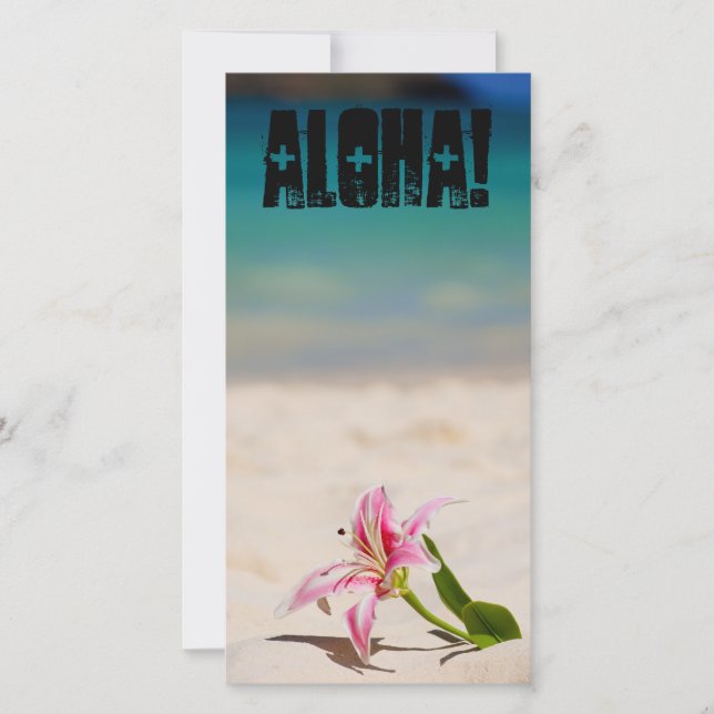 ビーチリリー (正面)